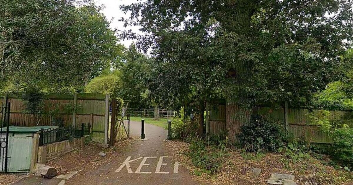 Four men arrested after teenage girl 'drugged and raped' in London park
