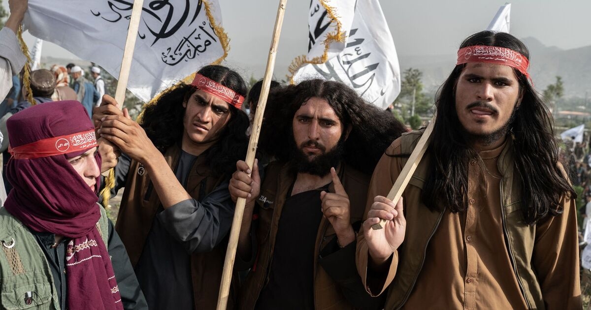 Taliban's incredible migrant intervention: 'we are ready and willing' to work with Farage