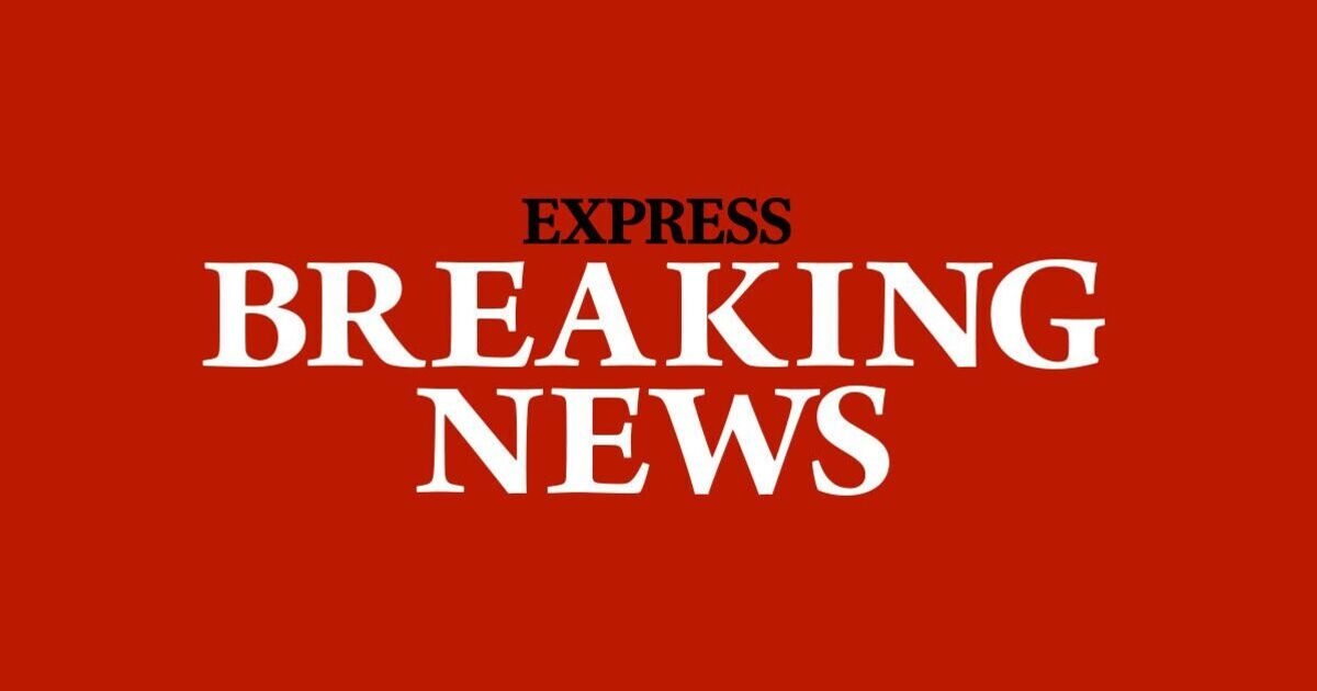 Kind stirbt in Londoner Wohnung im Zusammenhang mit „gefährlichen Stoffen“