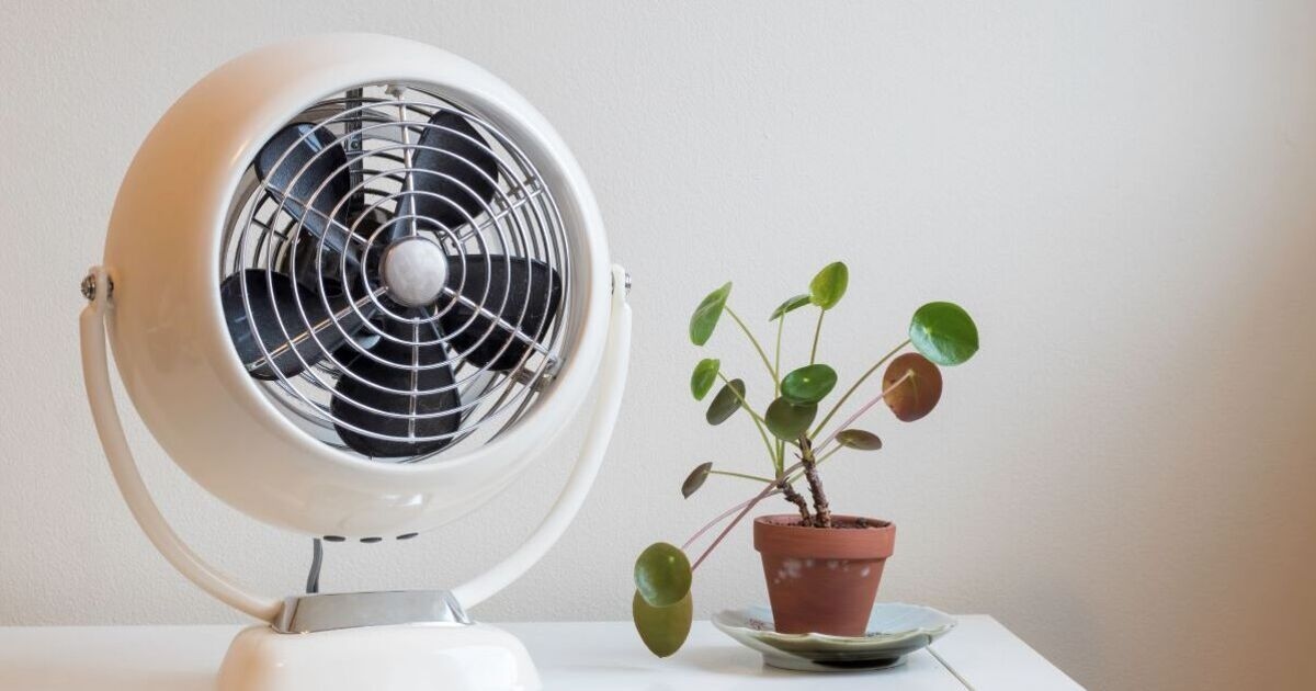 Expert reveals the reason you shouldn't leave a fan on overnight