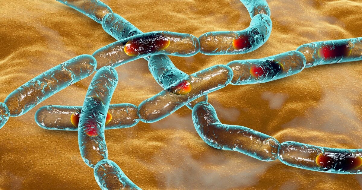 Anthrax warning as one dead and more hospitalised following outbreak