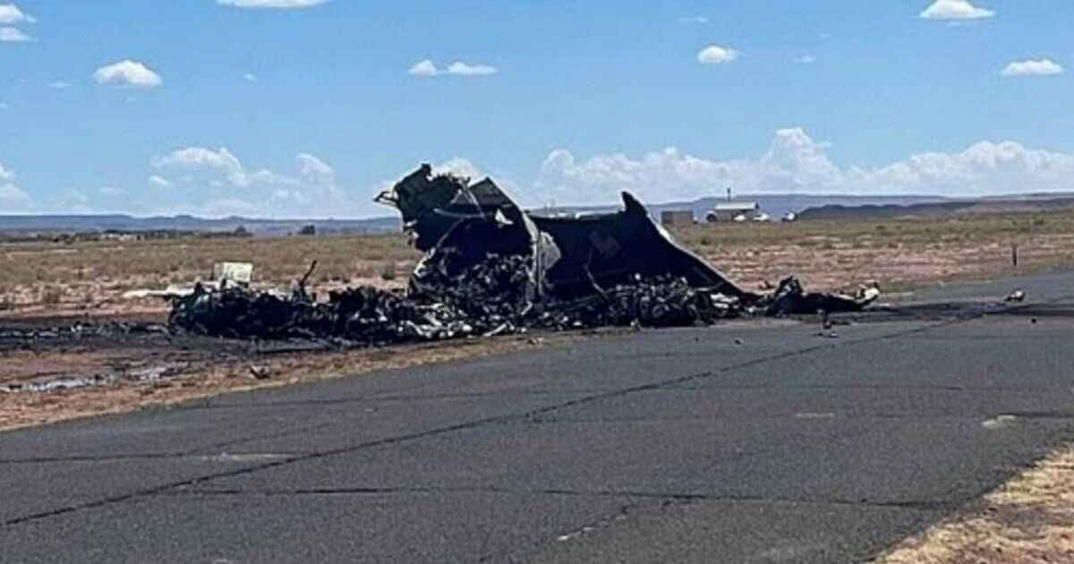 Four dead in horror plane crash in Arizona desert as aircraft bursts into flames