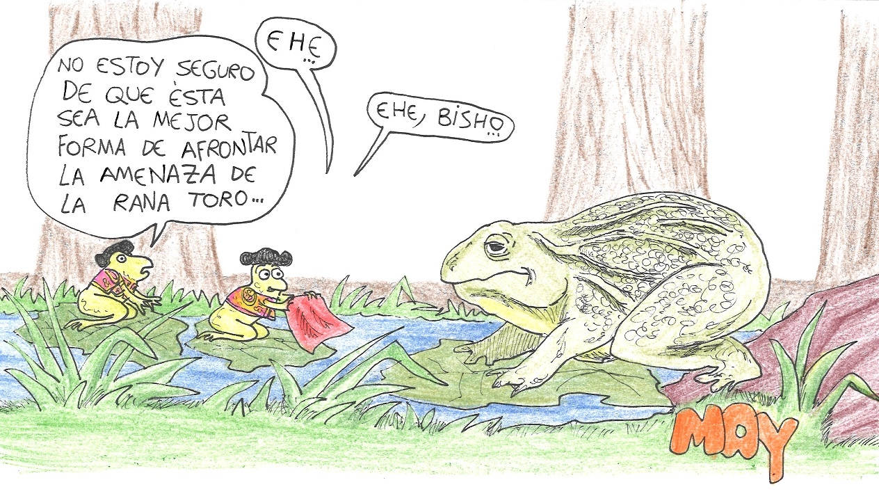 Die Bedrohung durch den Ochsenfrosch. Von (*) Mai