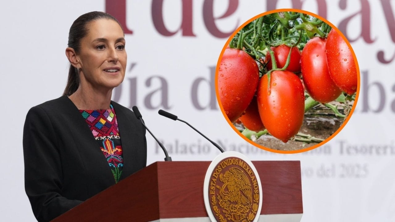 Sheinbaum: Mexikos Plan reagiert ohne Konfrontation auf US-Tomatenzölle