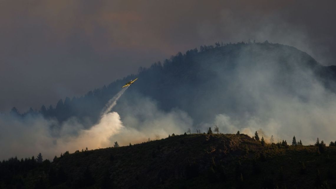 Forests are burning: Patagonia suffers the worst fires in 30 years