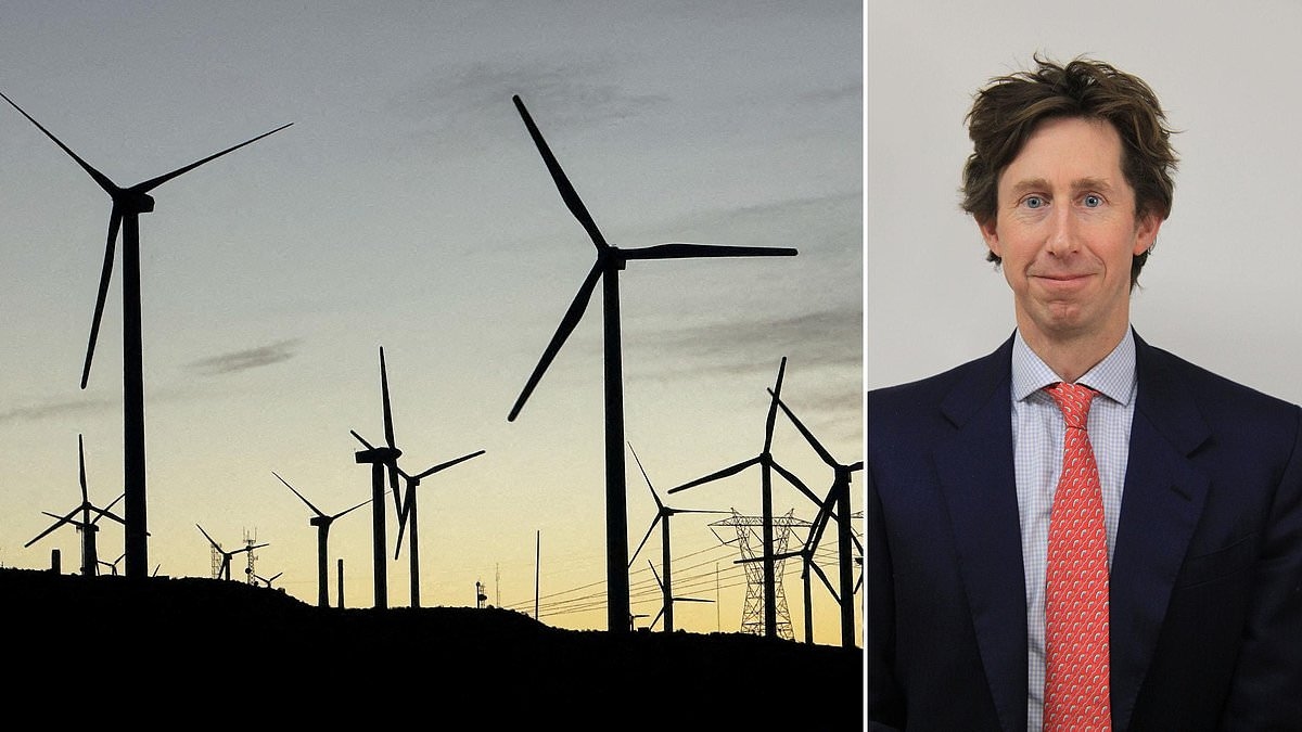 Cómo obtener un dividendo del 10% de fondos de inversión en energías renovables de bajo coste: ANALISTA DE INVERSIONES