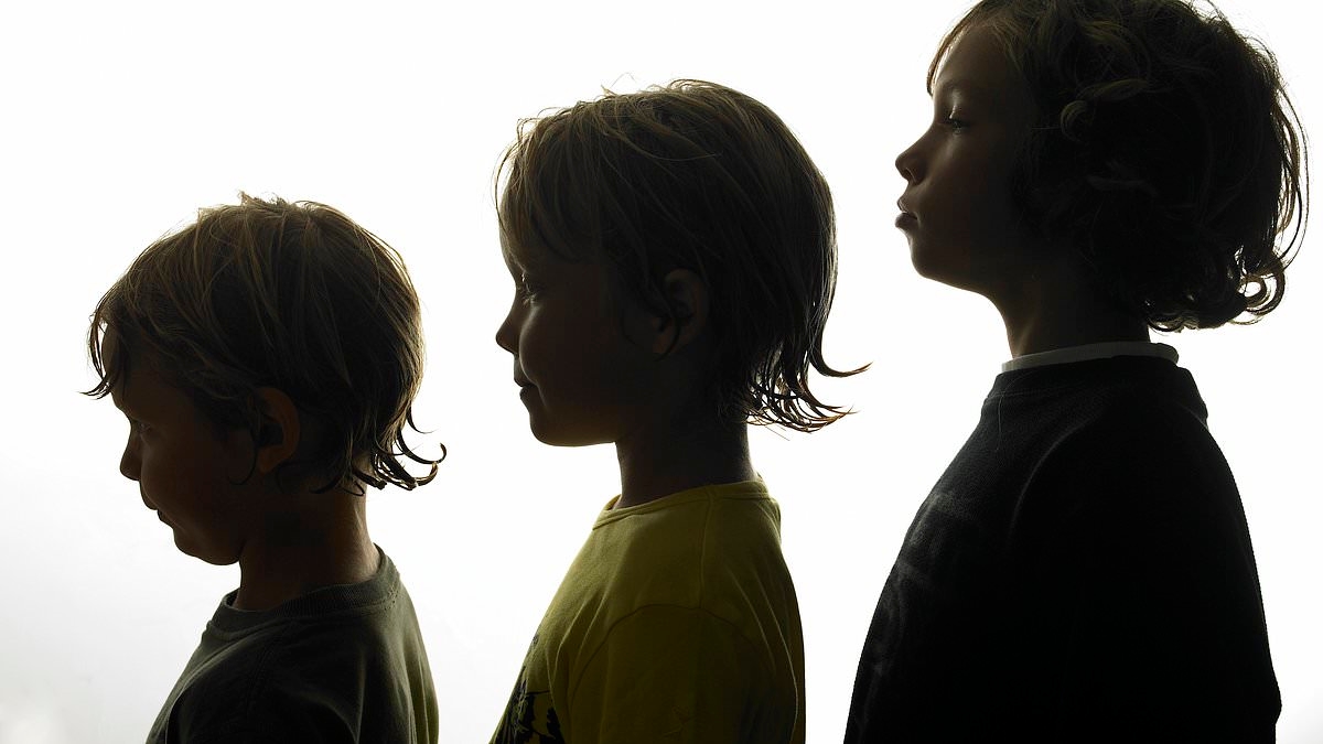 Inherited Fate by Noemi Orvos-Toth: First born? You're a leader Second child? You have lots of friends Younger sibling? You start revolutions!