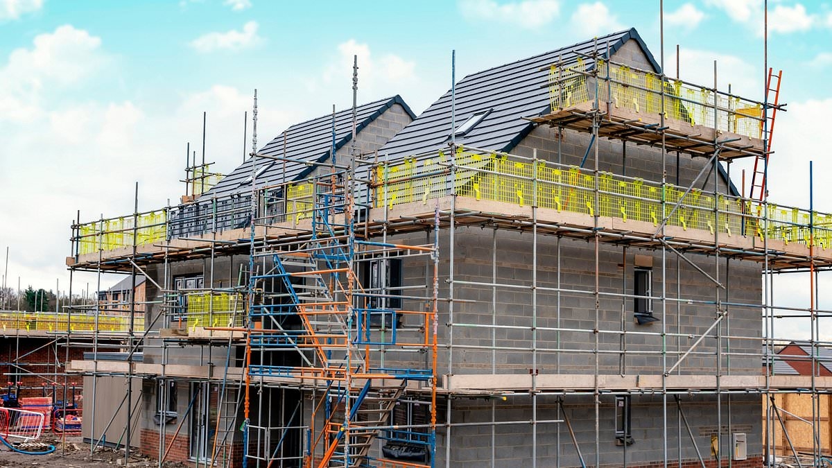 Britain's biggest housebuilder: Government must back first-time buyers