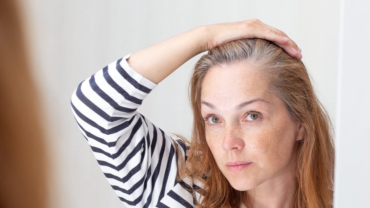 Why going gray may save you from CANCER... as scientists make bombshell breakthrough