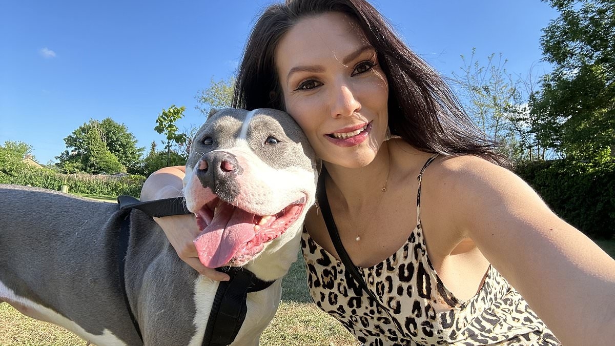 La mitad de los adultos afirma que ahora utiliza la IA para gestionar su dinero.