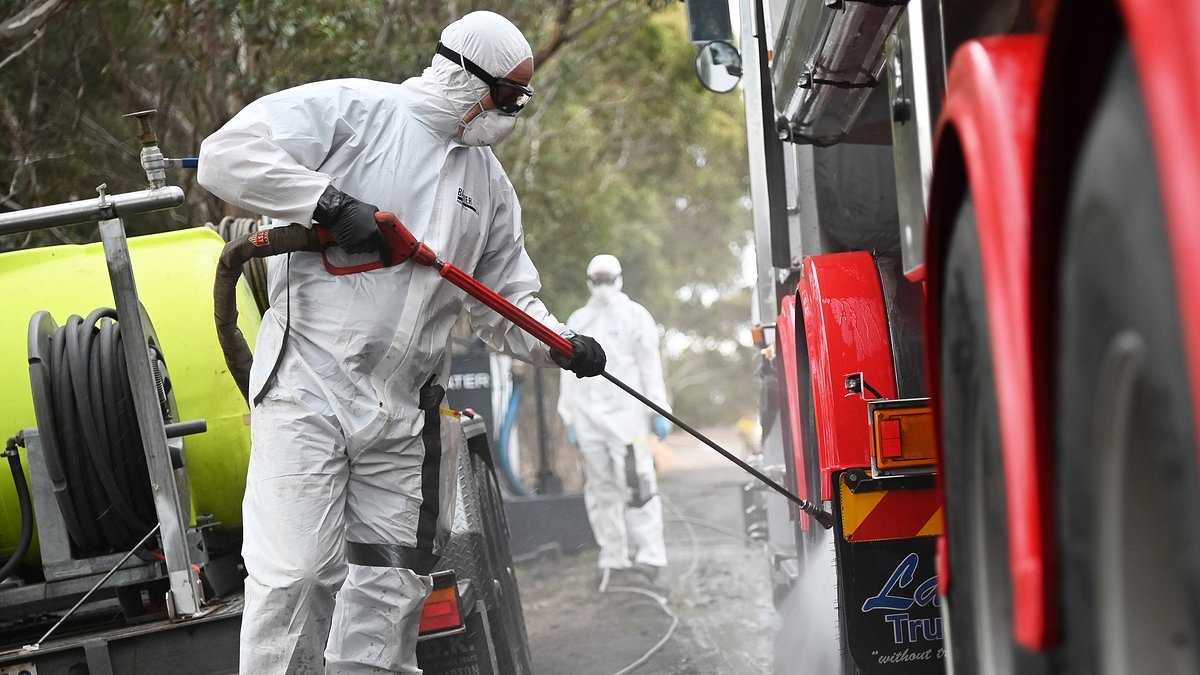 Virus altamente contagioso que resurge en EE. UU.... supone un riesgo para la seguridad alimentaria