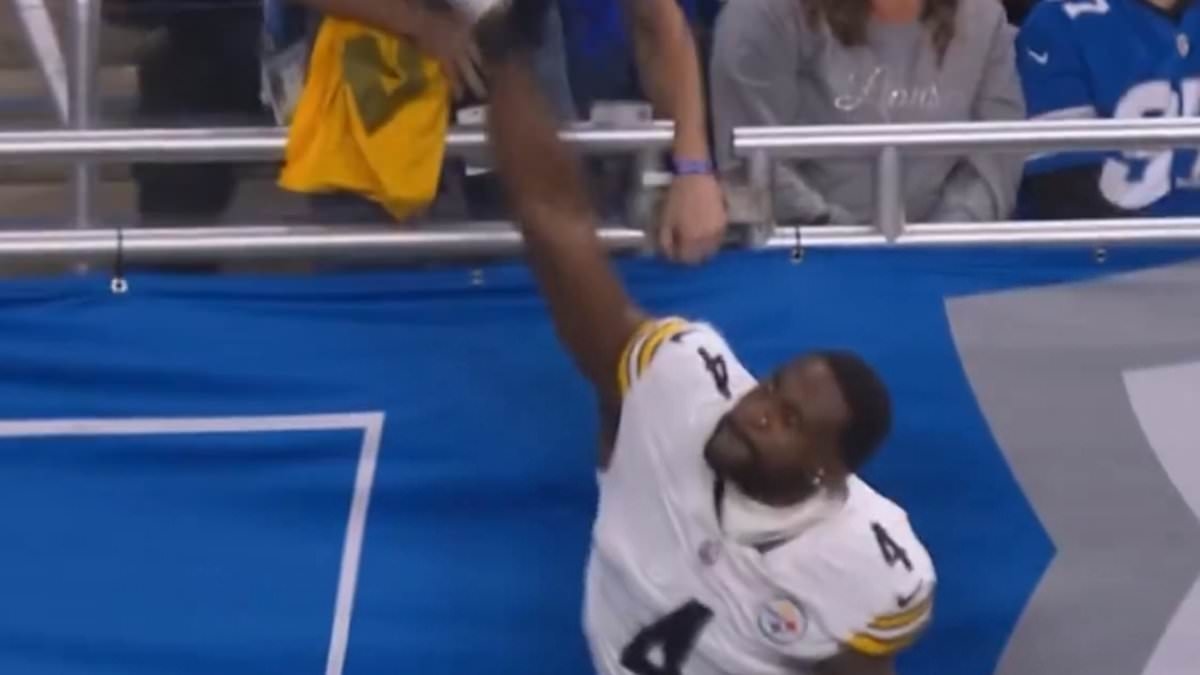 DK Metcalf banned two games after Steelers star was caught taking a swing at Lions fan