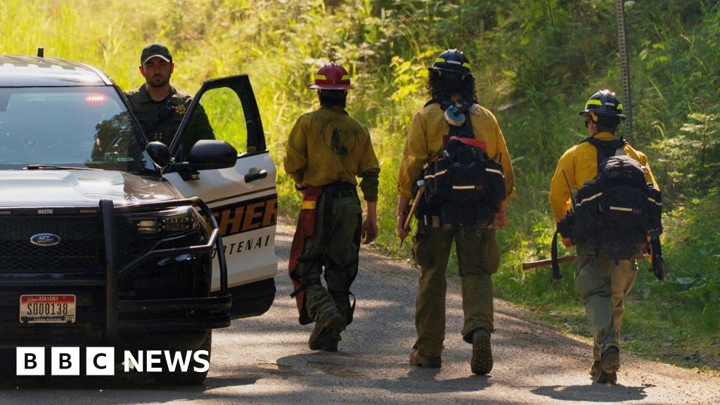 Idaho gunman in deadly ambush of fire crews had 'idolised' firefighters