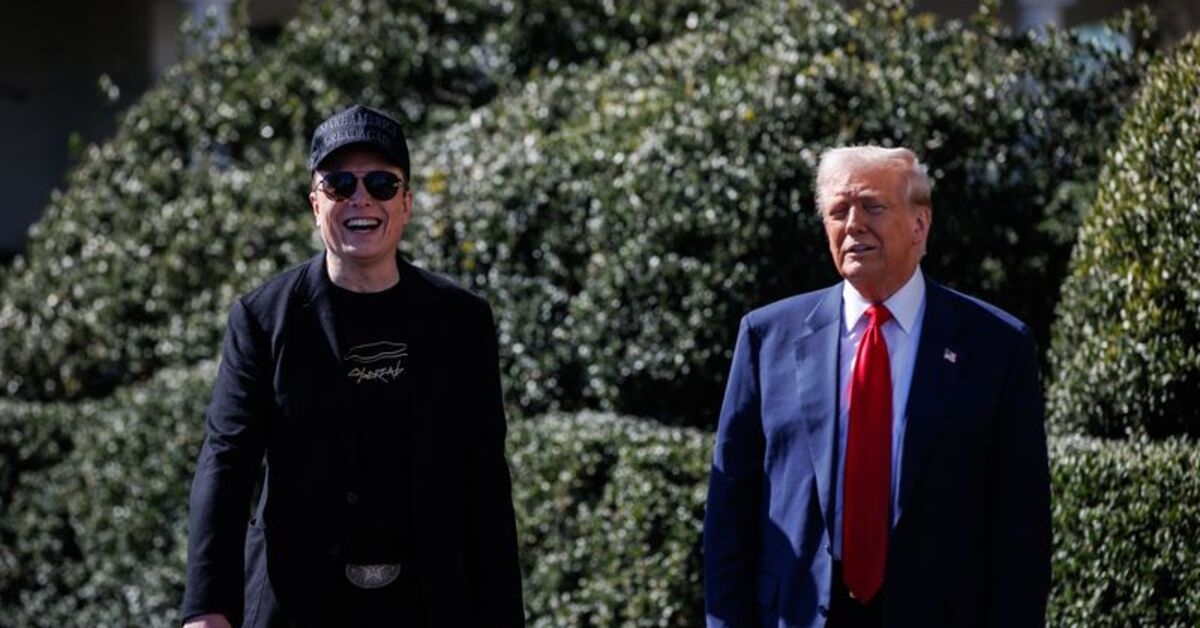 Trump'tan Musk'a yanıt: Güney Afrika'ya dönmek zorunda kalırdı