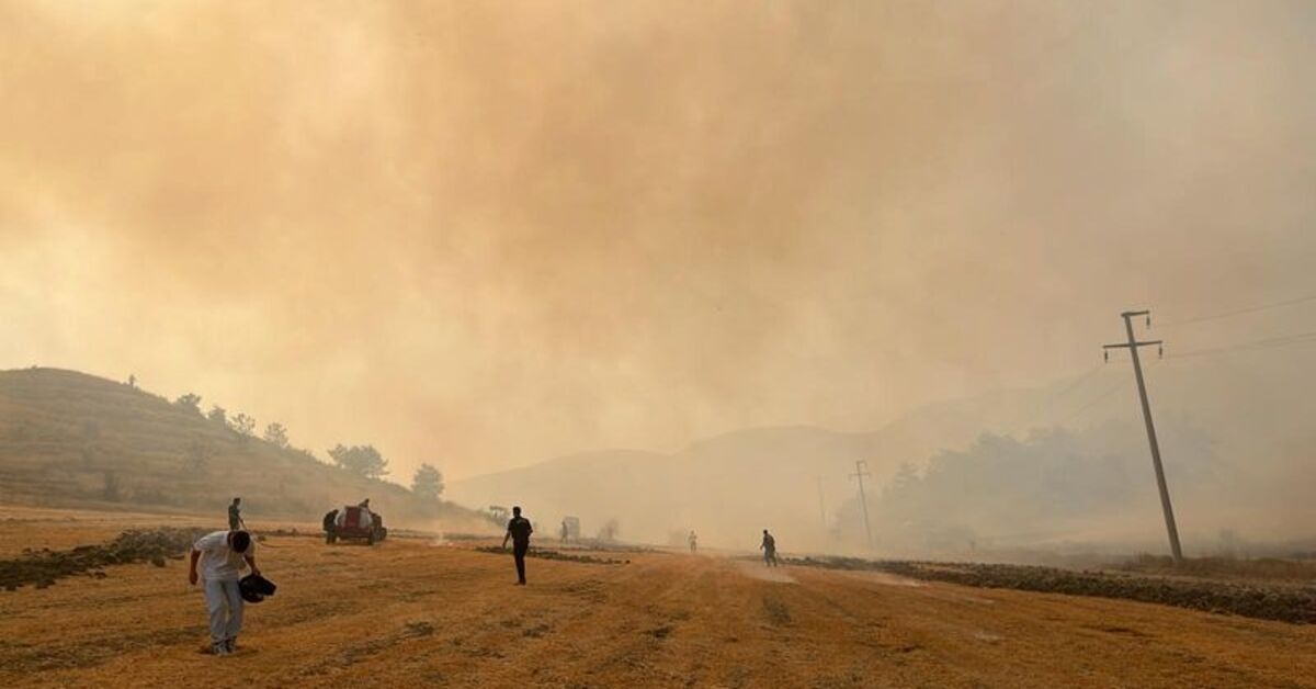 Forest fire in 4 cities!
