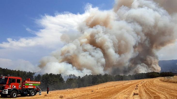Our lungs are burning! The flames are advancing towards residential areas.