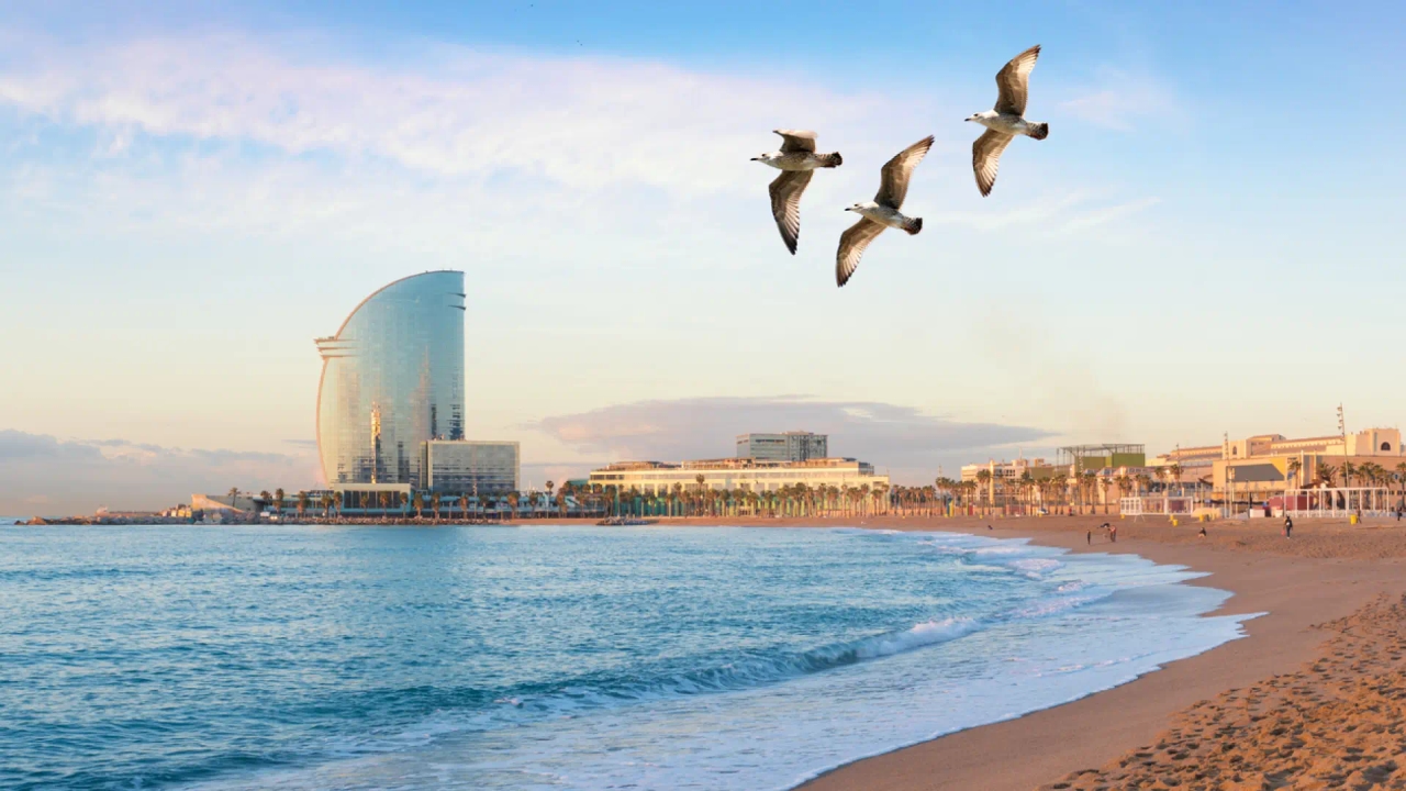 Sky, a tourist on Barceloneta beach: "The water is dirty and smells bad."