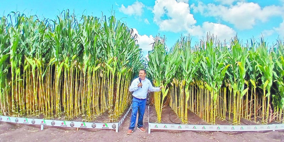 From selection to design: Bayer celebrates 40 years of innovation in Tlajomulco