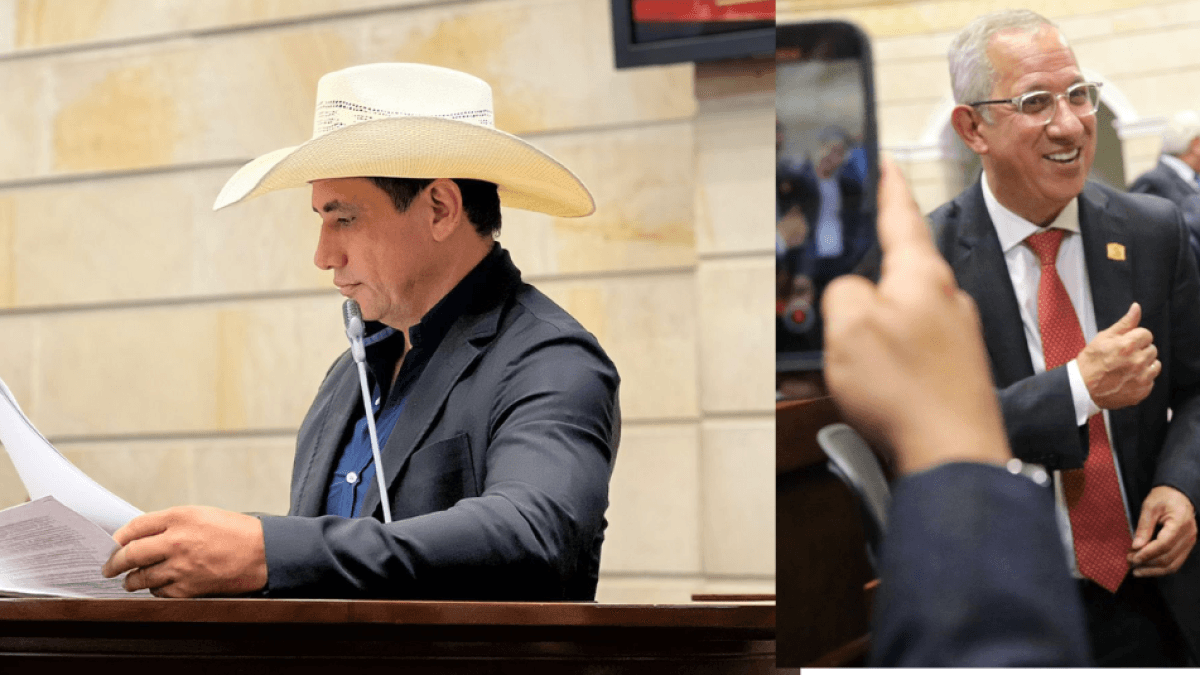 The Council of State annuls the election of Senate vice presidents for violating minority and gender equality rules.