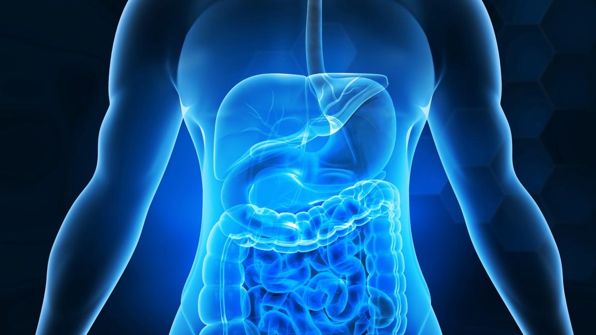 Are fecal microbiota transplants good for you? Research warns of potential risks