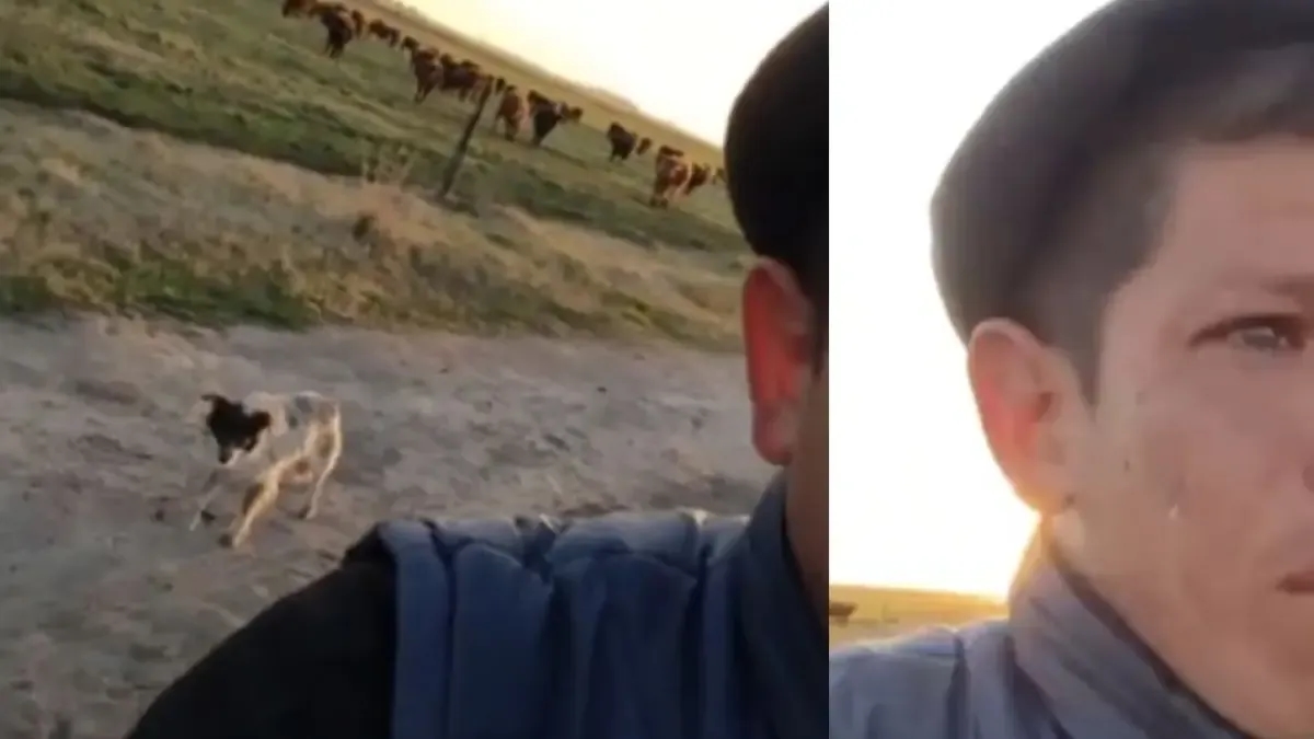 İşten kovulan adamın, köpeğini kırsalda bırakmak zorunda kaldığı için ağladığı videosu herkesi duygulandırdı.