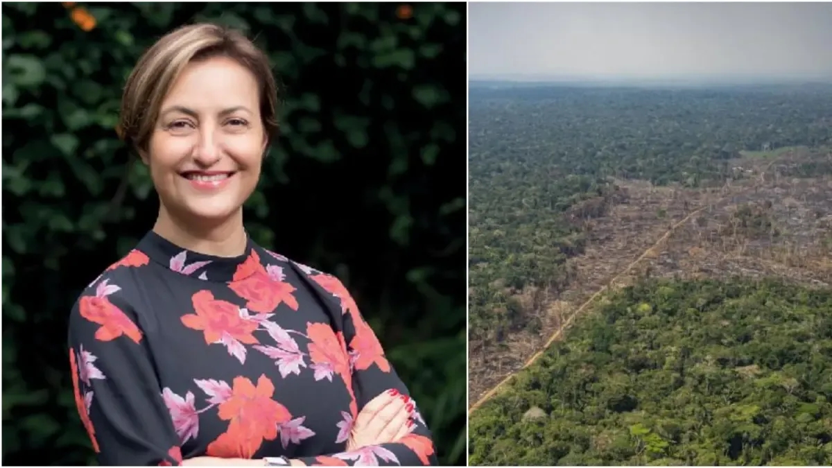 'Ormansızlaşma Kolombiya'nın Aşil topuğu': Ülkedeki Doğa Koruma Örgütü Direktörü Claudia Vásquez