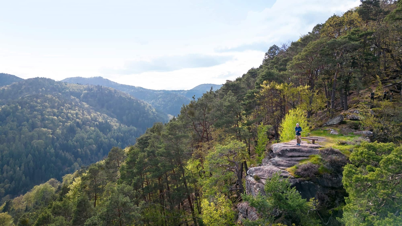 Castles, wine and panoramic views: These 10 hiking trails in Rhineland-Palatinate are a must