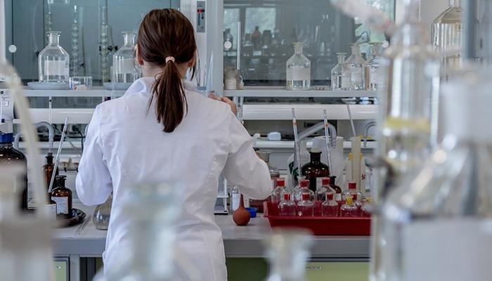 A world first: Human skin with blood circulation has been produced!