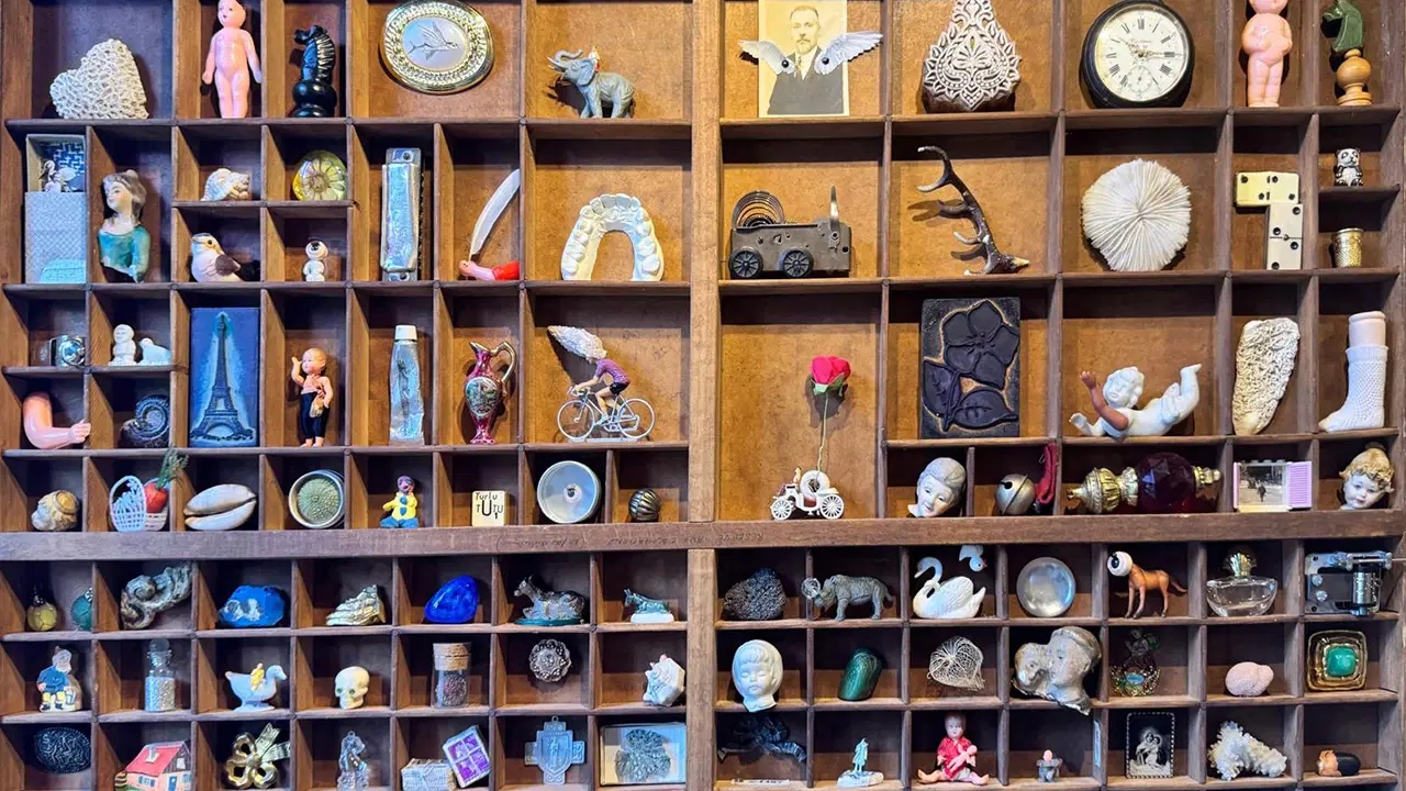 Ein Rundgang durch die Ausstellung „Curieux Cabinet“ in Nancy