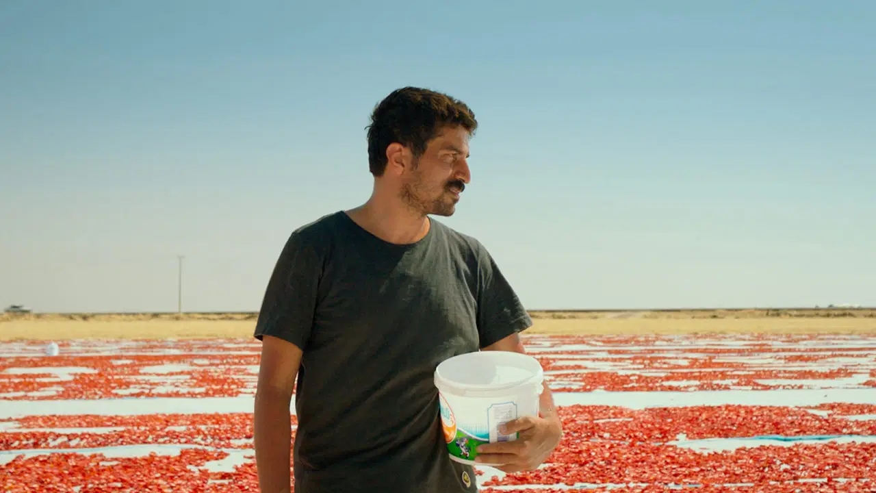 Der Oscar-Nominierte der Türkei wurde bekannt gegeben!