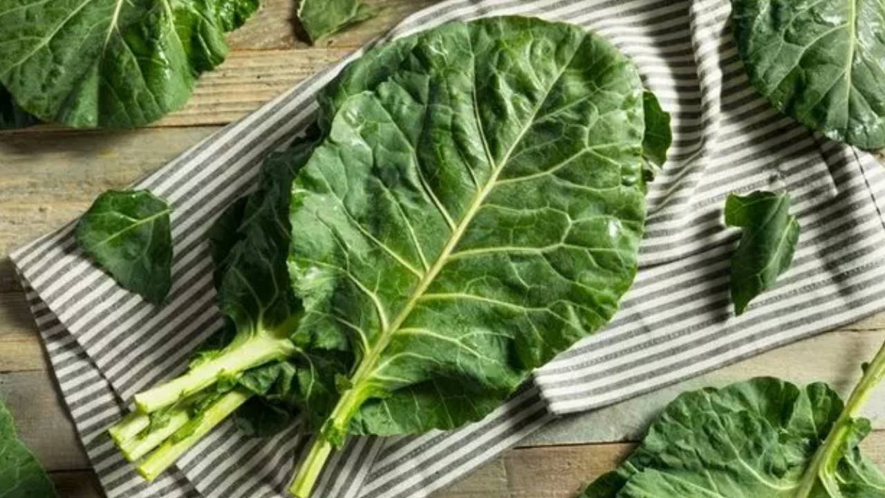 Девушки Черного моря вылечат рак капустой