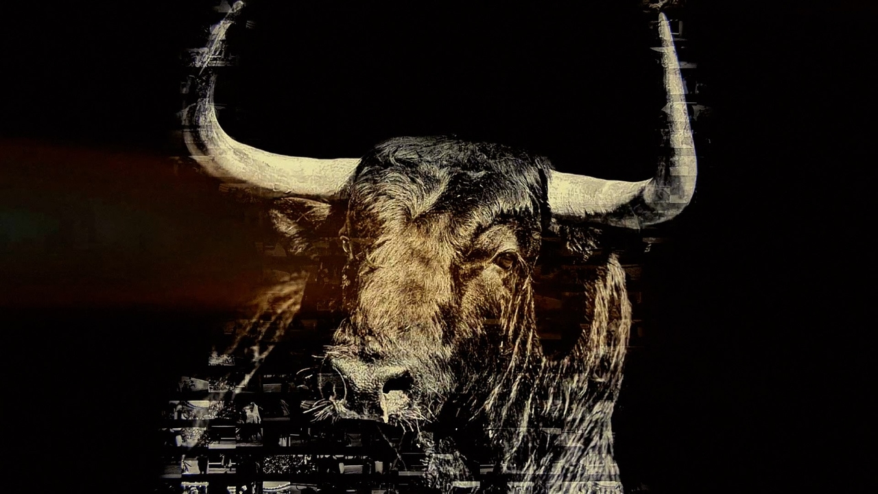 YouTube once again takes aim at bullfighting: it censors the San Isidro Fair promotional spot for its "violent content."