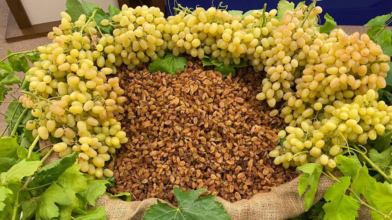 Kuru üzümün kilo fiyatı sabitlendi