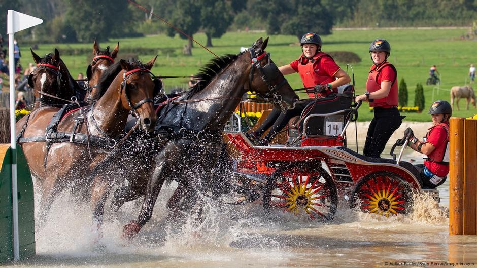 La conductora de caravana Mareike Meier: pionera con cuatro caballos de fuerza