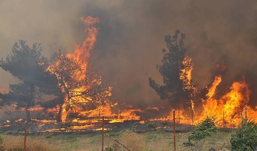 Statement on the health status of citizens affected by the fire
