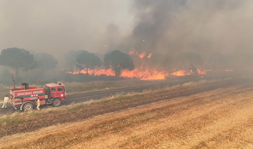 ¡Se produce un incendio en una zona forestal en Silivri!