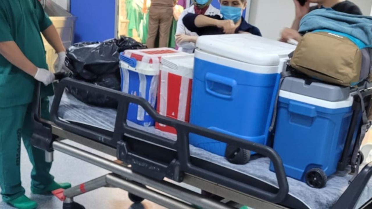 Organs of brain-dead person will bring hope to 4 patients
