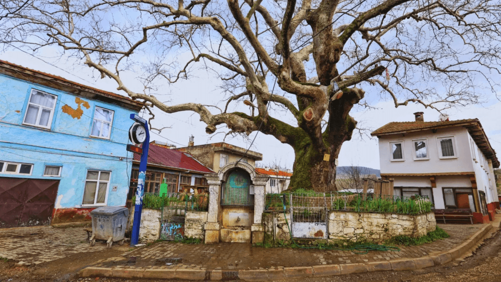 Kervanların Sığınağı, Tarihin Tanığı