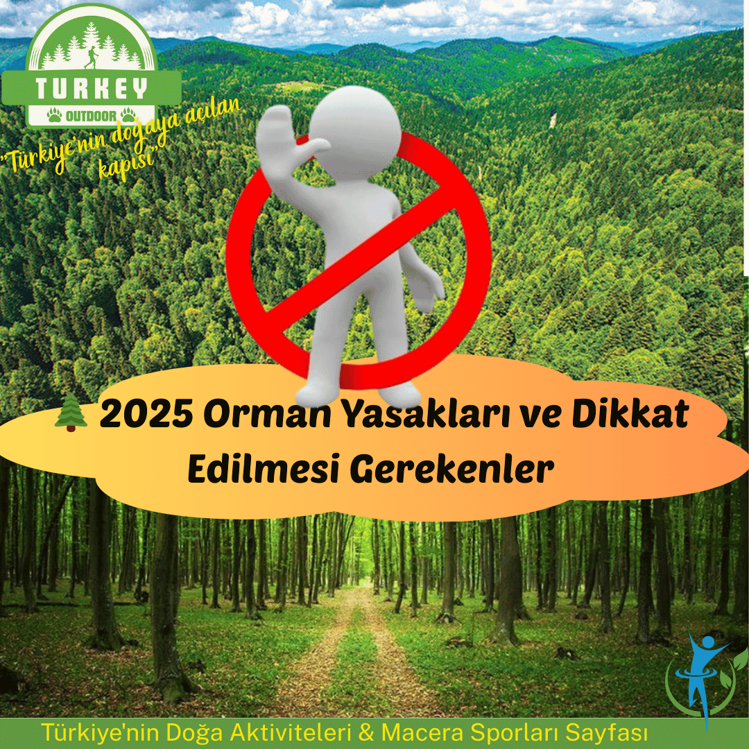 2025 Forest Entry Bans and Things to Consider
