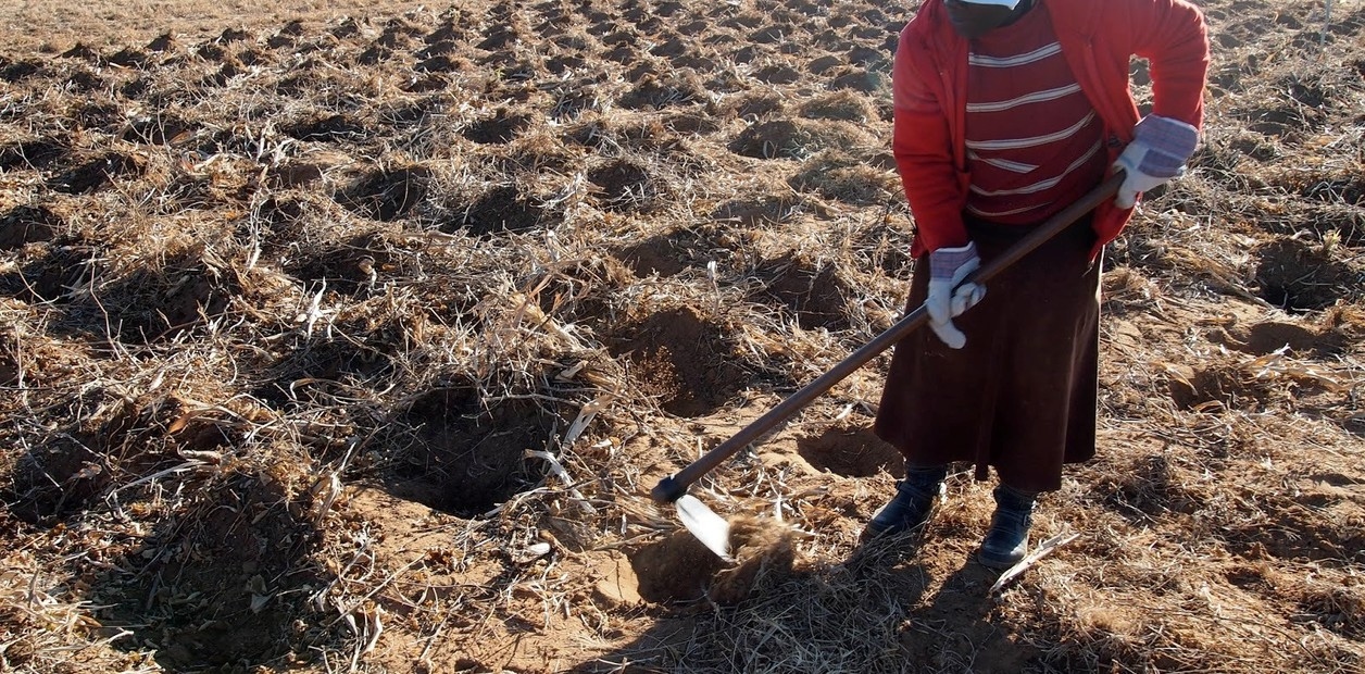 David Laborde: Food security and nutrition in times of economic crisis and climate change