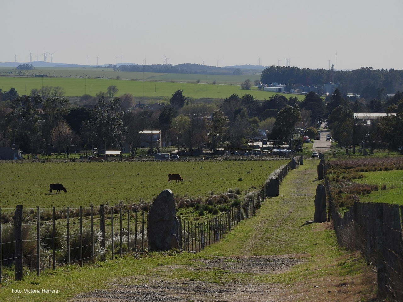 A walk through Chillar, a historic town that invites you to hunt for truffles