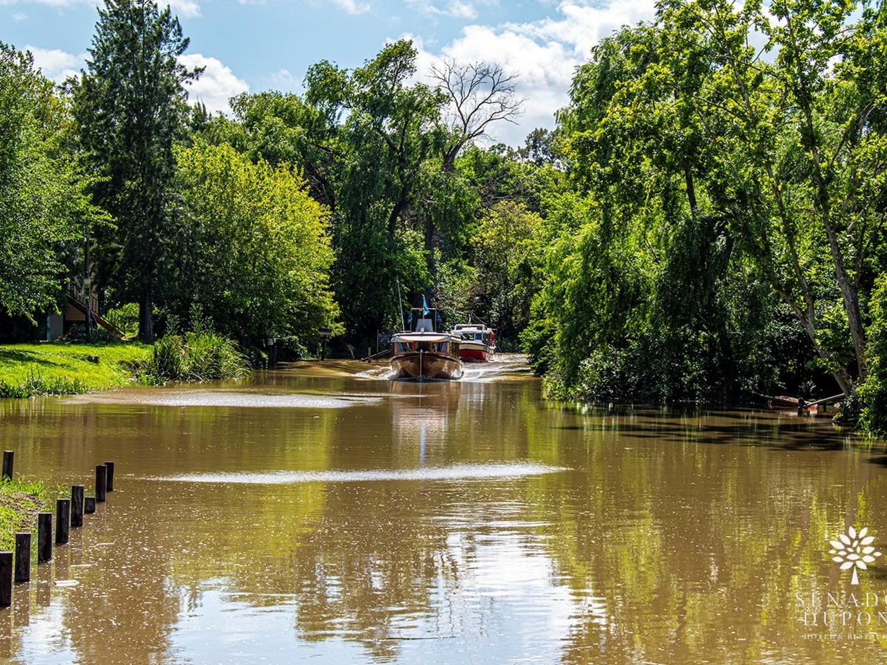 Bir kayak gezisi, trekking ve dinlenmeyle dolu bir ada günü veya spa'lı her şey dahil bir otel: Tigre Deltası'nda keyfini çıkarabileceğiniz 5 seçenek