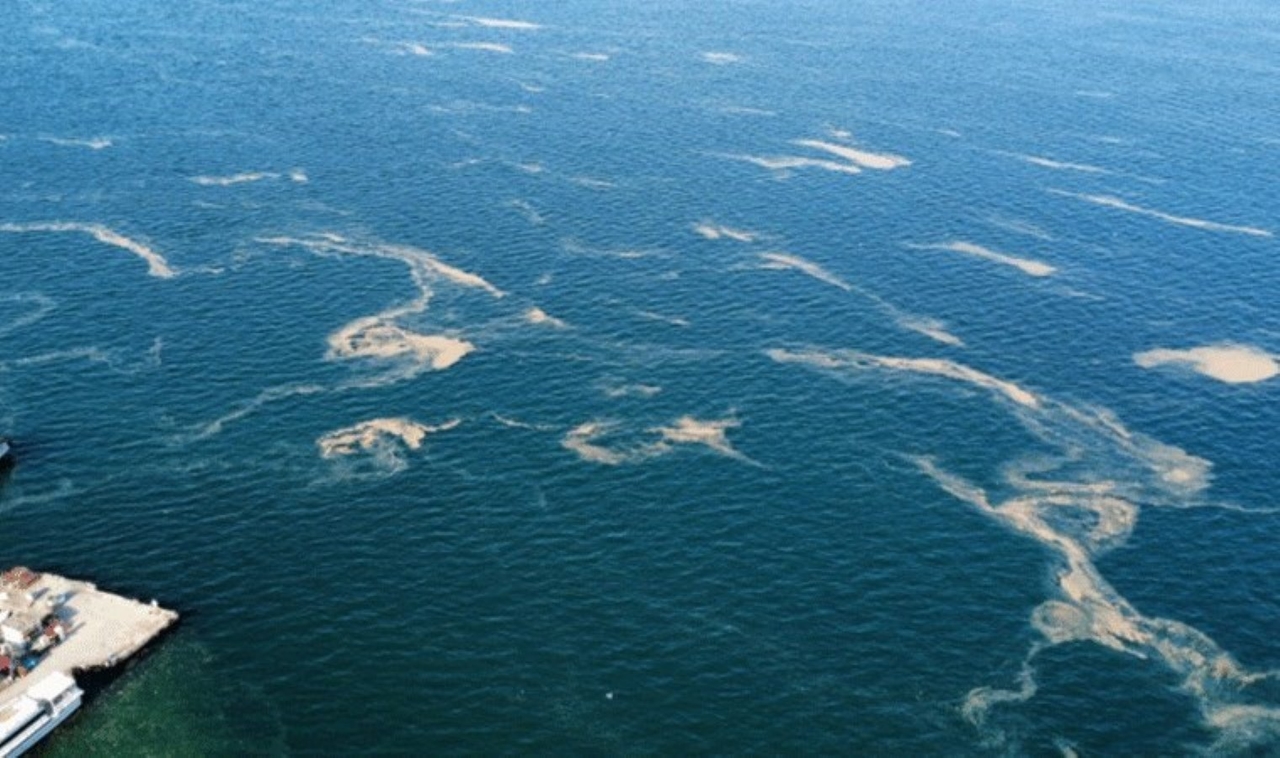 Después de Maltepe, las Islas... ¡El mucílago se extiende en el Mar de Mármara!