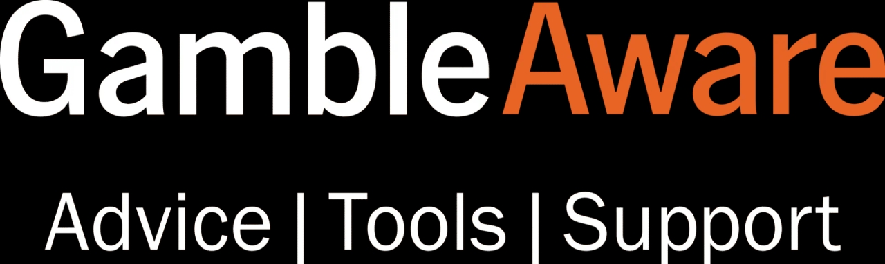 La policía investiga una gran pelea al final de la final del Campeonato de Fútbol Gaélico de Wexford en la que un adolescente resultó herido.