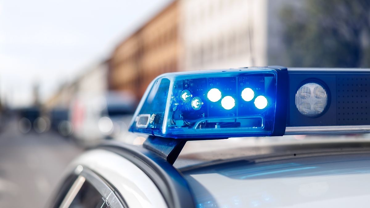 Wieduwilt's week on Norbert Bolz: Every house search of columnists strengthens the AfD