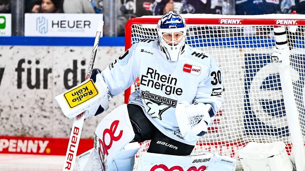Tigers nutzen Mannheim-Patzer: Kölner Haie kassieren heftige Zehn-Tore-Abreibung
