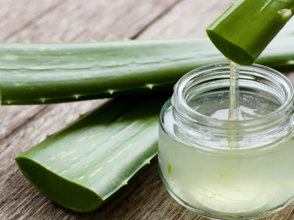 Das Aloe Vera Heilmittel, das Sie zu Hause herstellen können und das Ihre Haut zum Strahlen bringt