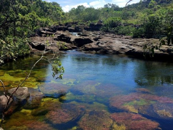El paraíso natural que muchos no conocen y lo tiene Colombia: el mundo lo ama