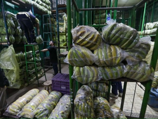 „Ein weiteres Problem in Sicht“: Geringe Wahrscheinlichkeit, dass die Inflation in den Zielbereich fällt