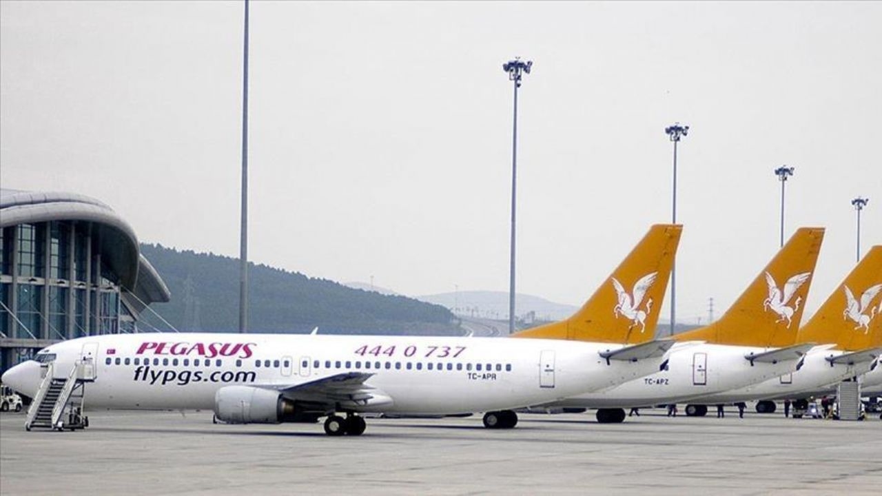 Pegasus-Erklärung zu Montenegro